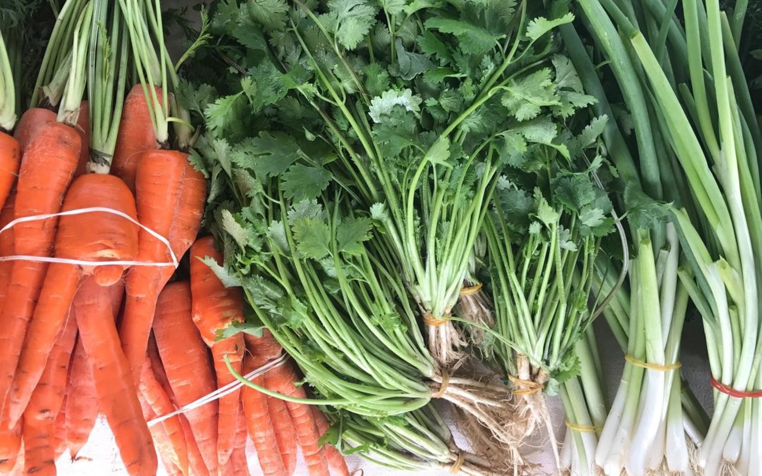Plymouth Farmer’s Market
